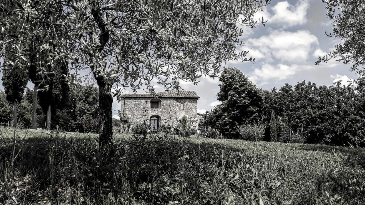 Podere Pievina Delle Corti - Dimora Di Campagna Sinalunga Exterior photo