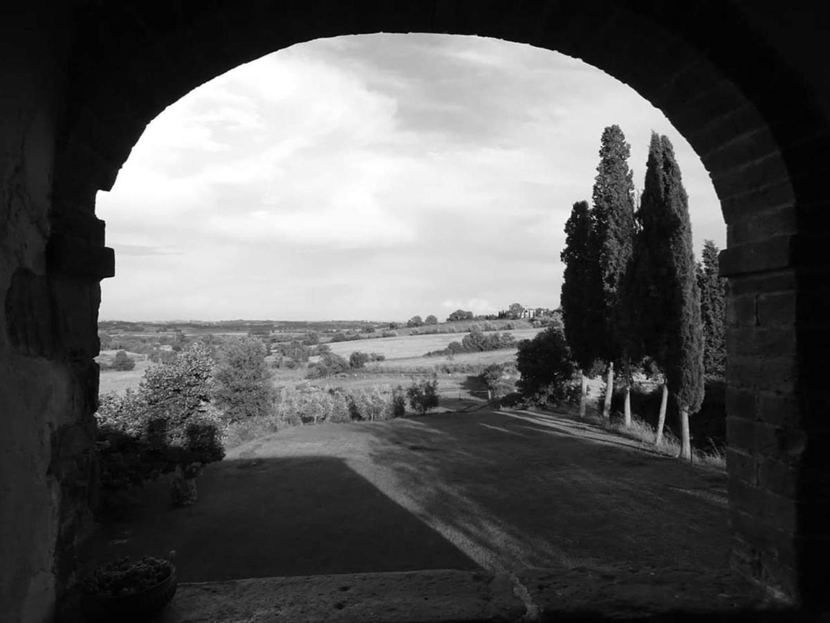 Podere Pievina Delle Corti - Dimora Di Campagna Sinalunga Exterior photo