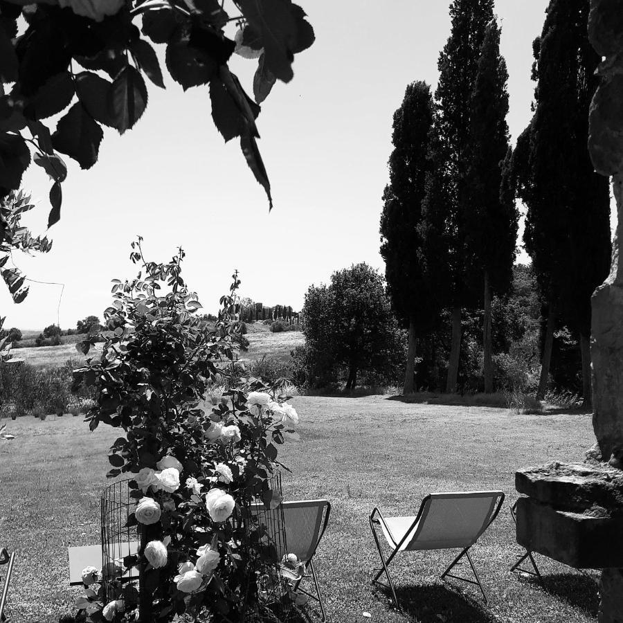 Podere Pievina Delle Corti - Dimora Di Campagna Sinalunga Exterior photo